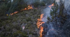 Σε κατάσταση συναγερμού η Κολομβία λόγω πυρκαγιών και καύσωνα –…