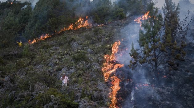 Σε κατάσταση συναγερμού η Κολομβία λόγω πυρκαγιών και καύσωνα – Σε εξέλιξη 21 πυρκαγιές