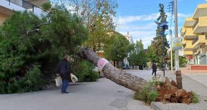 Καιρός: Άνεμοι έως και 9 μποφόρ στην Αττική, ξεριζώθηκαν δέντρα…