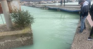 Καταγγελία για την επανεμφάνιση υδροθείου στη Λιμνοθάλασσα του Αιτωλικού