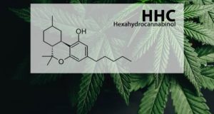 Τι είναι η ουσία HHC που πλέον υπάγεται στα ναρκωτικά…