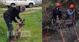 Εξαφάνιση 31χρονου στο Μεσολόγγι: Έχουν προσαχθεί δύο γυναίκες και δύο…