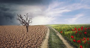 Έρευνα: Πώς επηρεάζει τις εποχές η Κλιματική Αλλαγή