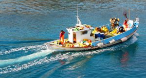 ΕΛ.Ο.Π.Υ.: Τουριστική αξιοποίηση βοηθητικών σκαφών υδατοκαλλιέργειας