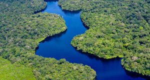 Το οικοσύστημα του Αμαζονίου μπορεί να καταρρεύσει γρηγορότερα απ’ ό,τι…