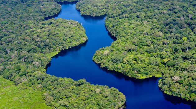Το οικοσύστημα του Αμαζονίου μπορεί να καταρρεύσει γρηγορότερα απ’ ό,τι νομίζαμε, προειδοποιεί νέα μελέτη