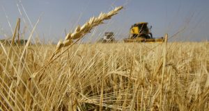 Επί τάπητος το θέμα των ασφαλών εξαγωγών των ουκρανικών σιτηρών…