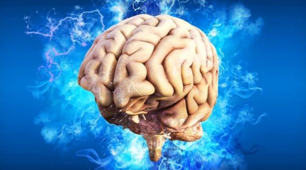 Παγκόσμια μελέτη αποκαλύπτει ότι δύο χημικές ουσίες του εγκεφάλου επηρεάζουν την κοινωνική συμπεριφορά