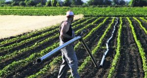 Απαλλαγή από την υποχρέωση της αγρανάπαυσης για 127.232 αγρότες –…