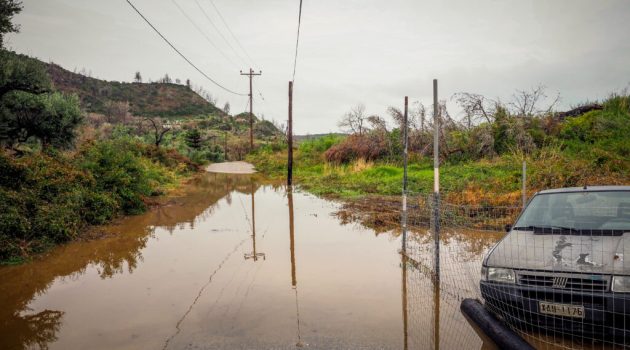 Λ. Αυγενάκης: Tα προγράμματα στα οποία μπορούν να ενταχθούν οι πληγέντες αγρότες της Εύβοιας
