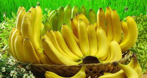 SOS για τις μπανάνες λόγω κλιματικής κρίσης