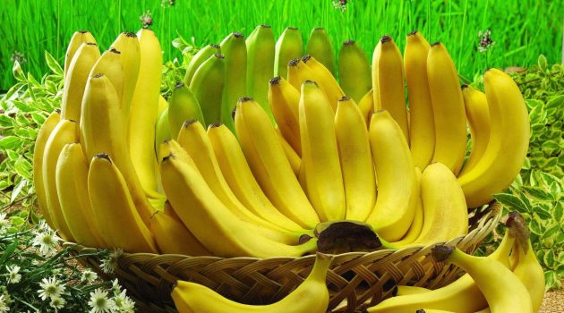 SOS για τις μπανάνες λόγω κλιματικής κρίσης