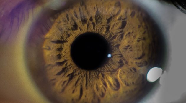 Επιστήμονες αναπτύσσουν μικροσκοπικά φωτοβολταϊκά για τα μάτια