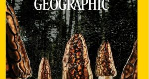 Εξώφυλλο στο National Geographic φωτογραφίες του Α. Παπατσάνη από τη…