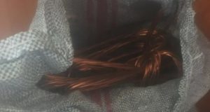 lefkada-xilosan-kalodia-axias15-000-evro-apo-monada-tou-dimou