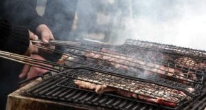 dimos-agriniou-to-programma-tis-tsiknopebtis