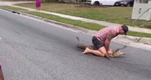 Παλαιστής στη Φλόριντα ακινητοποίησε αλιγάτορα 2,5 μέτρων με γυμνά χέρια…