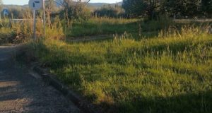 kainourgio-agriniou-elleipsi-frontidas-sto-parko-kykloforiakis-agogis-photos