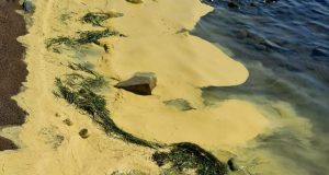 Μεσολόγγι: Κίτρινη λάσπη «κάλυψε» την Πλαζ της Τουρλίδας (Photo)
