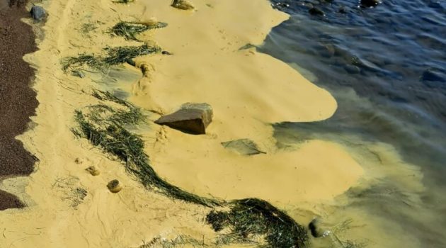 Μεσολόγγι: Κίτρινη λάσπη «κάλυψε» την Πλαζ της Τουρλίδας (Photo)