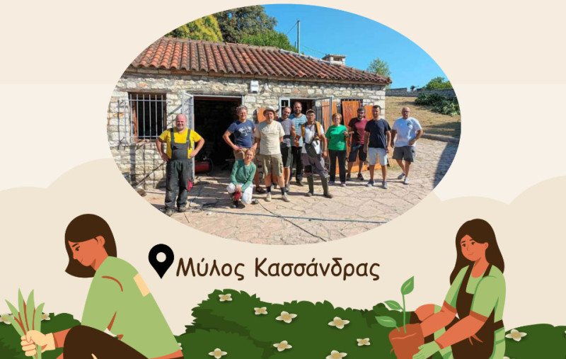 i-d-e-a-p-th-dendrofytefsi-avleiou-chorou-tou-mylou-tis-kassandras