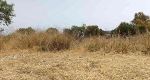 Ο Δήμος Αμφιλοχίας προχώρησε σε σχετική ενημέρωση για την αντιπυρική περίοδο 2025 και τον καθαρισμό οικοπέδων.