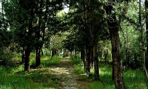 Ο Σύλλογος Δρομέων Υγείας υπενθυμίζει πως την Κυριακή, 27 Απριλίου διεξάγεται σε συνεργασία με τον Δήμο το 5ο City Trail Agrinio