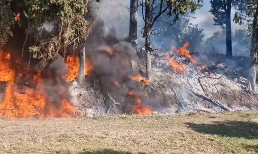 Στο Μεσολόγγι και πιο συγκεκριμένα στην Κατοχή σημειώθηκε φωτιά σε περιβόλια - Σήμα κινδύνους από κατοίκους