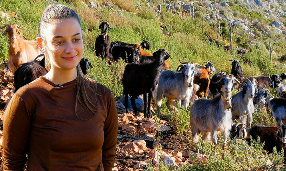 Από το Greek Village Life πήγαν ως το Αρχοντοχώρι Ξηρομέρου και εκεί συνάντησαν μια 19χρονη η οποία είναι Κτηνοτρόφος!