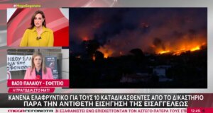 Σε ό,τι αφορά το Μάτι δεν αναγνωρίστηκε κανένα ελαφρυντικό στους 10 κατηγορούμενους, σε ορισμένες περιπτώσεις οι ποινές φτάνουν τα 240 έτη.