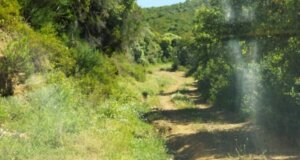 Ο Δήμος Ι.Π. Μεσολογγίου γνωστοποίησε πως ολοκληρώθηκαν οι εργασίες συντήρησης αγροτικών δρόμων στην Κοινότητα Φραγκουλαίικα.