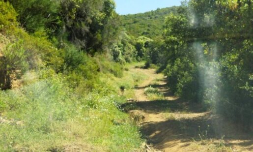 Ο Δήμος Ι.Π. Μεσολογγίου γνωστοποίησε πως ολοκληρώθηκαν οι εργασίες συντήρησης αγροτικών δρόμων στην Κοινότητα Φραγκουλαίικα.