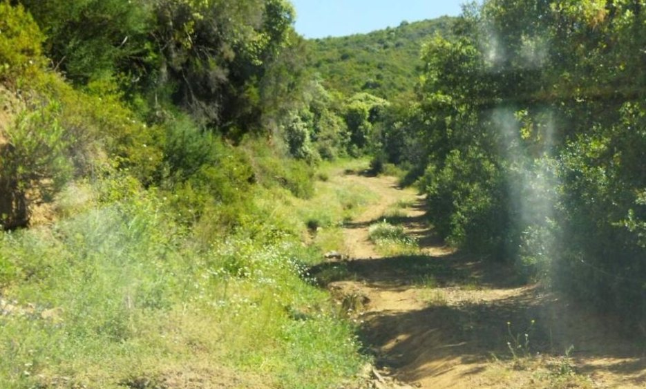 Ο Δήμος Ι.Π. Μεσολογγίου γνωστοποίησε πως ολοκληρώθηκαν οι εργασίες συντήρησης αγροτικών δρόμων στην Κοινότητα Φραγκουλαίικα.