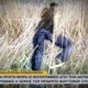 Το Μεσολόγγι θέλει να μάθει πώς και γιατί πέθανε ο Μπάμπης Κούτσικος, η ακριβής θέση που βρέθηκε η σορός.