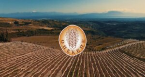 Η Ο.Α.Σ. Αιτωλοακαρνανίας προχώρησε σε ανακοίνωση μετά και τις ραγδαίες εξελίξεις στον Ο.Π.Ε.Κ.Ε.Π.Ε. - Αυτά είναι τα αιτήματά της