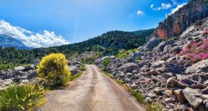 Στο Greek Village Life το αφιέρωμα της 26ης Ιουνίου 2025 είναι σε έναν δρόμο-δοκιμασία στα βουνά της Αιτωλοακαρνανίας!
