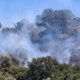 Στο Μεσολόγγι η φωτιά που ξέσπασε το μεσημέρι της 10ης Ιουλίου 2025 κινητοποίησε την Πυροσβεστική, γλίτωσε το Αρχαίο Θέατρο στις Οινιάδες.