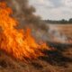 Στη Μακρυνεία τις μεσημεριανές ώρες της 21ης Ιουλίου υπήρξε κινητοποίηση της Πυροσβεστικής Υπηρεσίας για φωτιά στη Συκιά.