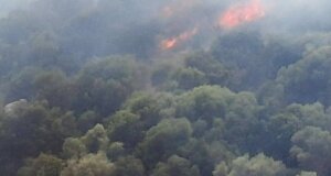 Στο Μεσολόγγι έχει σημάνει συναγερμός καθώς ο Αρχαιολογικός Χώρος στο Αρχαίο Θέατρο Οινιαδών πήρε φωτιά.