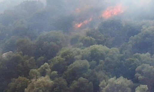 Στο Μεσολόγγι έχει σημάνει συναγερμός καθώς ο Αρχαιολογικός Χώρος στο Αρχαίο Θέατρο Οινιαδών πήρε φωτιά.