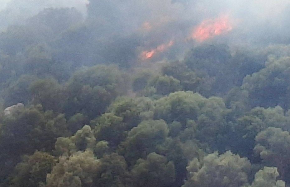 Στο Μεσολόγγι έχει σημάνει συναγερμός καθώς ο Αρχαιολογικός Χώρος στο Αρχαίο Θέατρο Οινιαδών πήρε φωτιά.