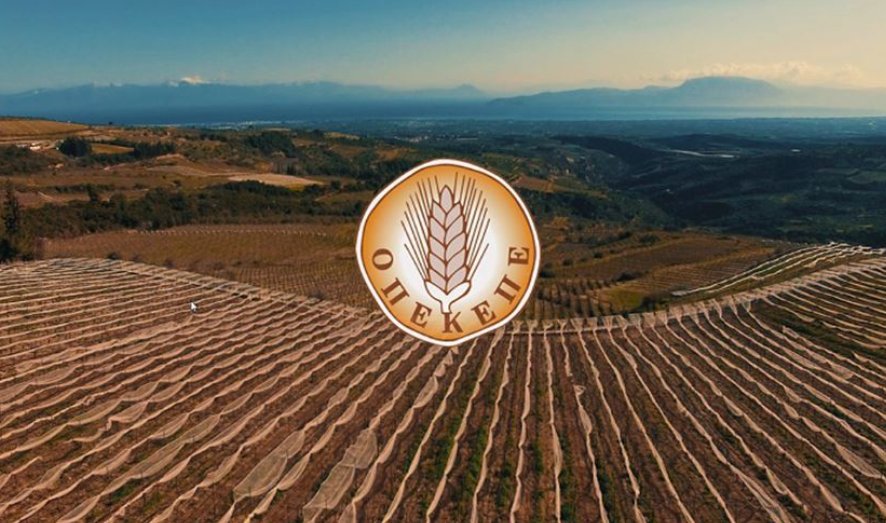 Περί Ο.Π.Ε.Κ.Ε.Π.Ε. ο λόγος φαίνεται πως εντός των επόμενων ημερών έρχεται στο Αγρίνιο κλιµάκιο της ∆ικαστικής Αστυνοµίας για τα βοσκοτόπια.