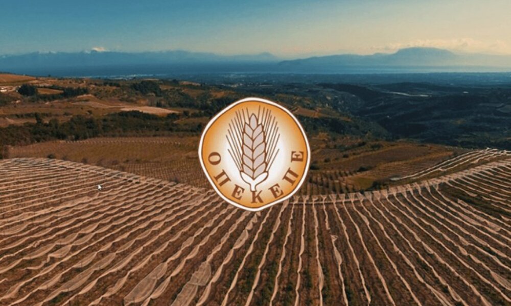 Ο Ο.Π.Ε.Κ.Ε.Π.Ε. εξέδωσε ανακοίνωση για την παράταση προθεσμίας της υποβολής Ενιαίας Αίτησης Ενίσχυσης 2025.