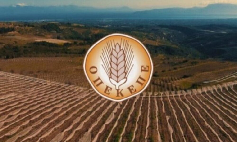 Το σκάνδαλο του Ο.Π.Ε.Κ.Ε.Π.Ε. έχει και συνέχεια αφού Εισαγγελείς (και) στο Αγρίνιο πραγματοποιούν «σαρωτικούς» ελέγχους!