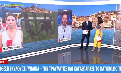 Στην Πάτρα σκύλος φέρεται να επιτέθηκε σε γυναίκα, εκτός του ό,τι τραυμάτισε την ίδια κατασπάραξε το κατοικίδιό της