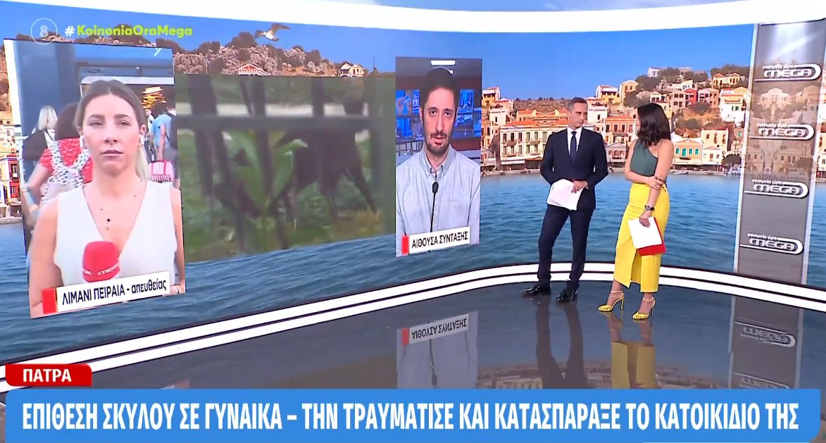 Στην Πάτρα σκύλος φέρεται να επιτέθηκε σε γυναίκα, εκτός του ό,τι τραυμάτισε την ίδια κατασπάραξε το κατοικίδιό της