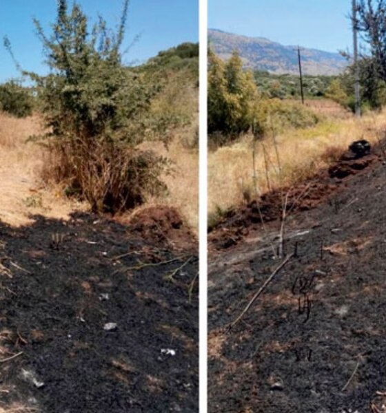 Στην Αμφιλοχία σημειώθηκε κινητοποίηση της Π.Υ. για φωτιά δίπλα από σημείο που είχε καεί προ ημερών.