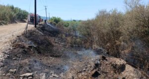 Στο Αγρίνιο το μεσημέρι της 10ης Αυγούστου σημειώθηκε γρήγορη παρέμβαση της Πυροσβεστικής Υπηρεσίας για φωτιά στα Γεφύρια του Αλάμπεη.