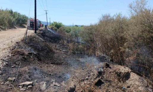 Στο Αγρίνιο το μεσημέρι της 10ης Αυγούστου σημειώθηκε γρήγορη παρέμβαση της Πυροσβεστικής Υπηρεσίας για φωτιά στα Γεφύρια του Αλάμπεη.