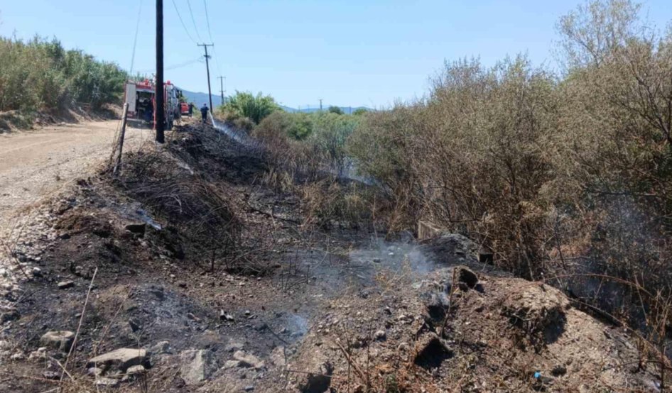 Στο Αγρίνιο το μεσημέρι της 10ης Αυγούστου σημειώθηκε γρήγορη παρέμβαση της Πυροσβεστικής Υπηρεσίας για φωτιά στα Γεφύρια του Αλάμπεη.